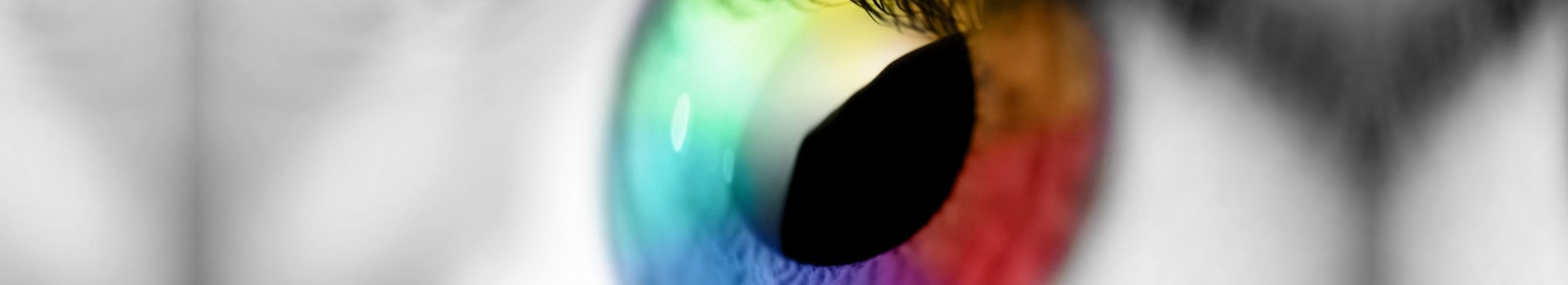 cartuchos em curitiba